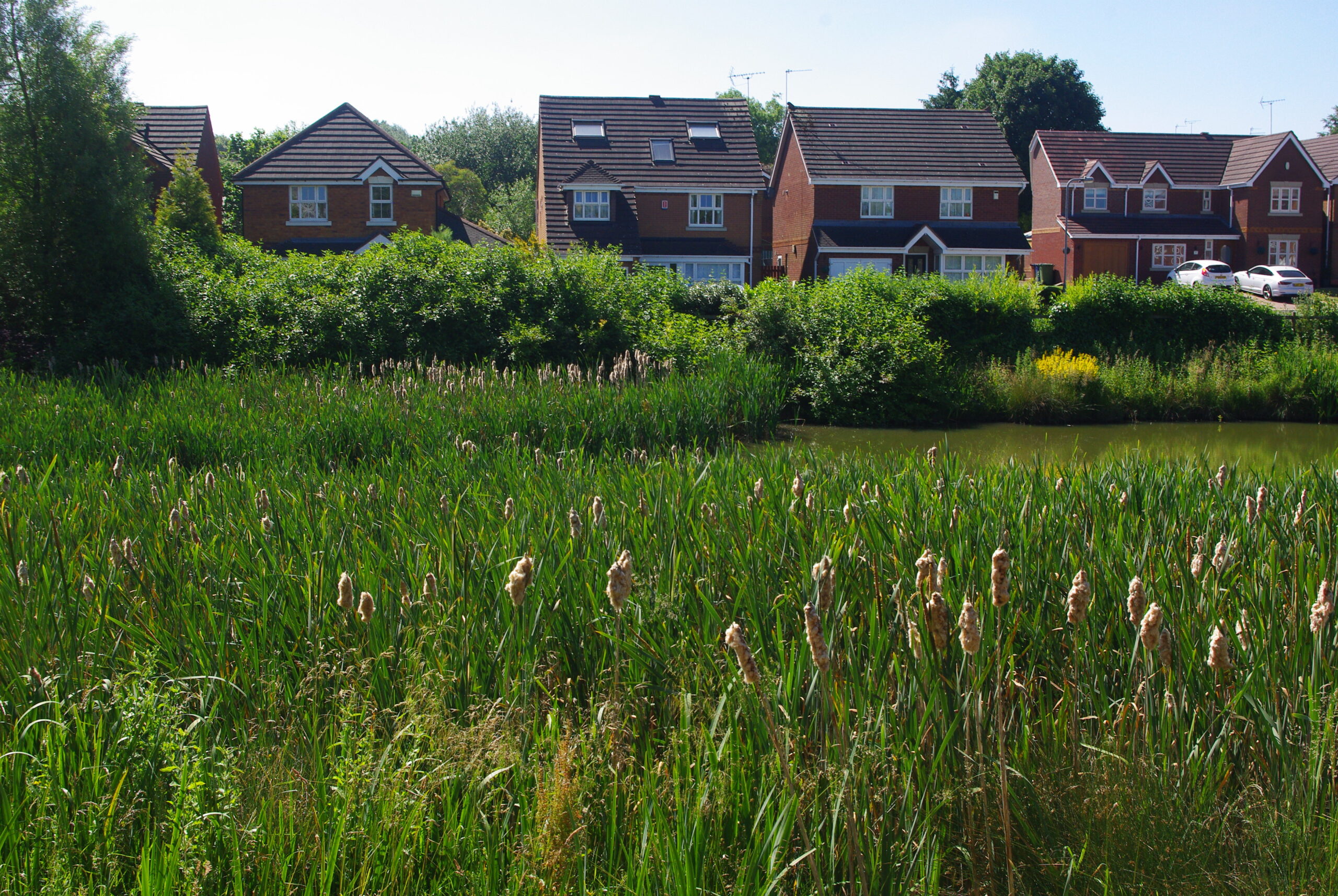 Sustainable Urban Drainage Systems (SuDS)